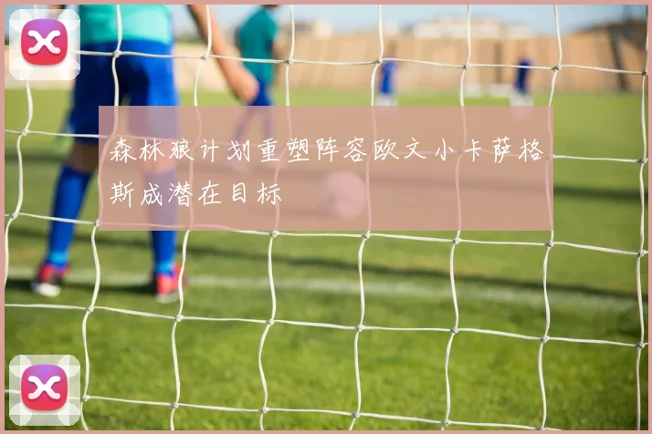 森林狼计划重塑阵容欧文小卡萨格斯成潜在目标